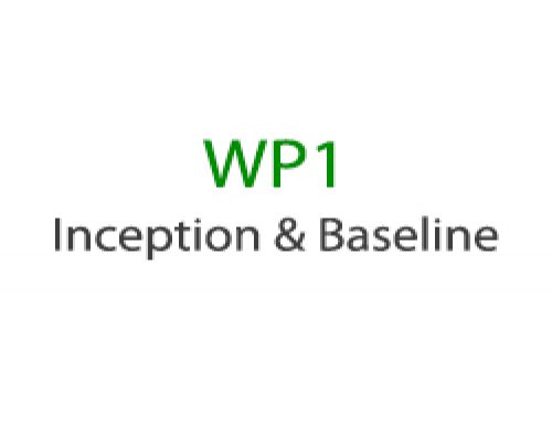 WORK PACKAGE 1 – Inception & Baseline