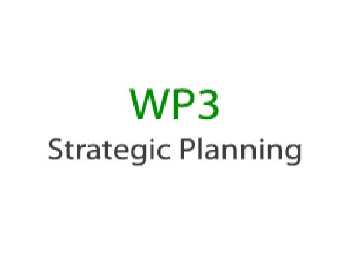 WORK PACKAGE 3 – Strategic Planning