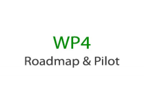 WORK PACKAGE 4 – Roadmap & Pilot