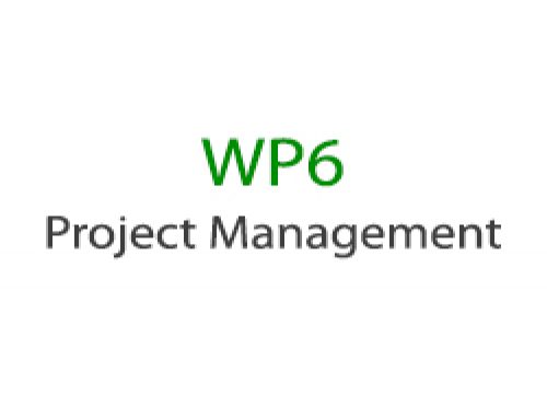 WORK PACKAGE 6 – Project Management