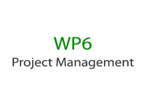 WORK PACKAGE 6 – Project Management